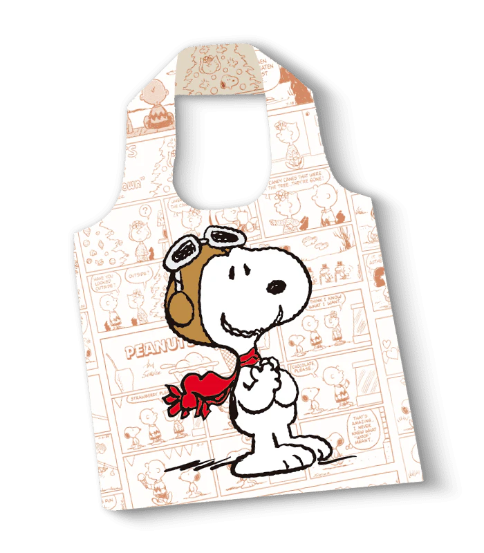 Snoopy House Build Up