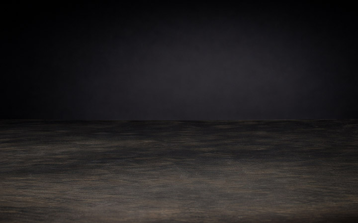 Harley Davidson - Content - ListBox v2 Background Half