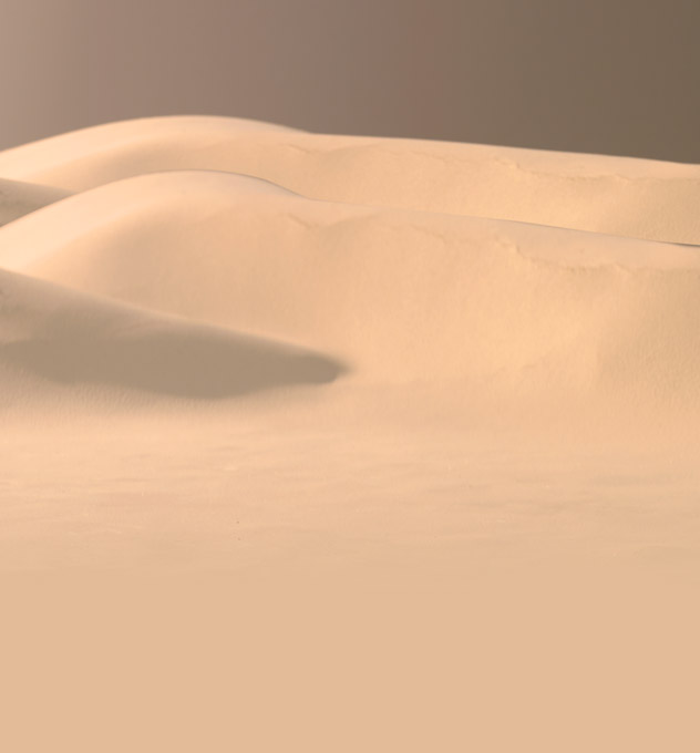 Peugeot 205 Dakar - Content - ListBox v2 - Background Half